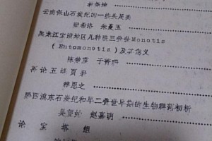 文章摘要的内容  