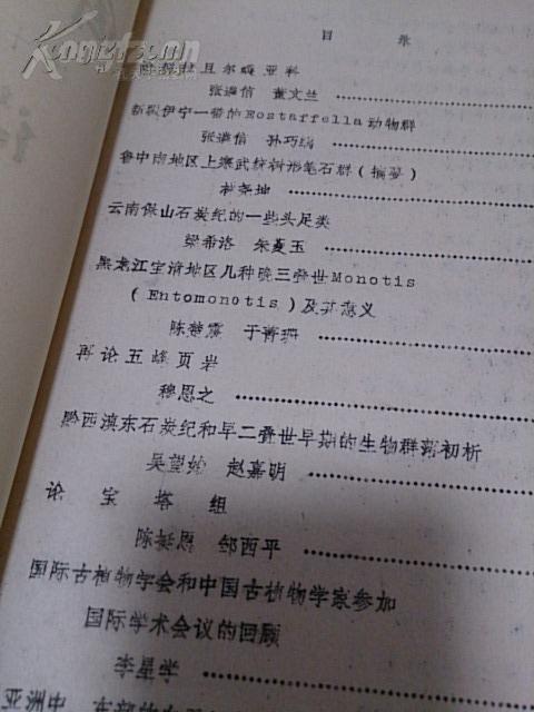 文章摘要的内容</p>  